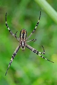 Photography masterclasses