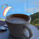 paragiding