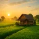myhome