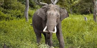 Multicultural immersion journey