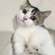 miu