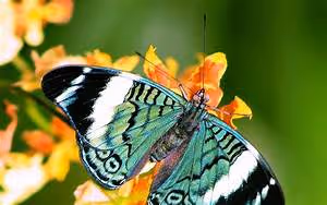 Creative expression exploration