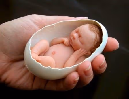 birth child