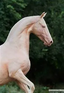 Photography masterclasses