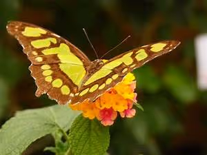 Seaside paradise retreats