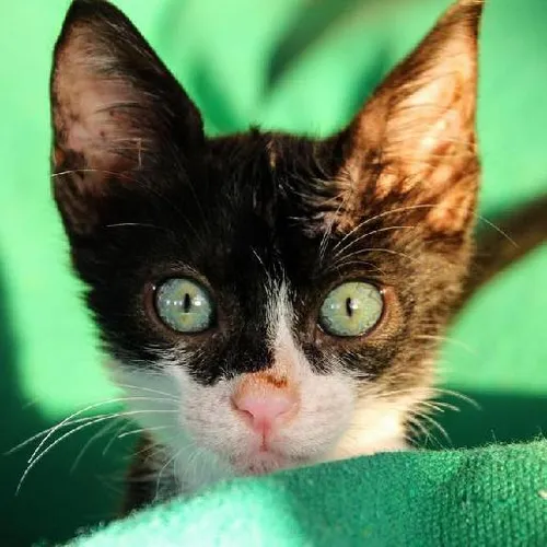 Writing retreat inspirations