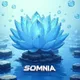 Somnia Flower Pixelated
