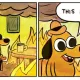 Morning