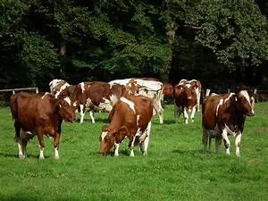 Underwater hotel experiences