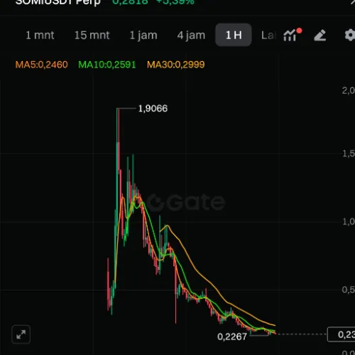 Somi dump
