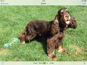 Multicultural immersion journey