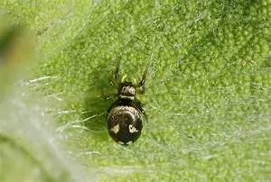 Hidden treasure hunt