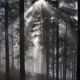 WeatherWiz