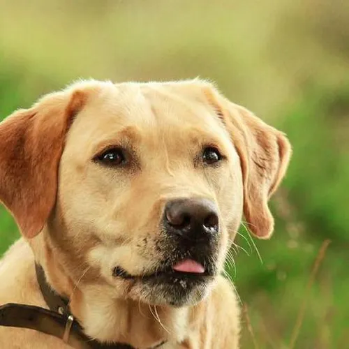 Spiritual pilgrimage journeys