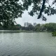 ha noi