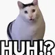 ME