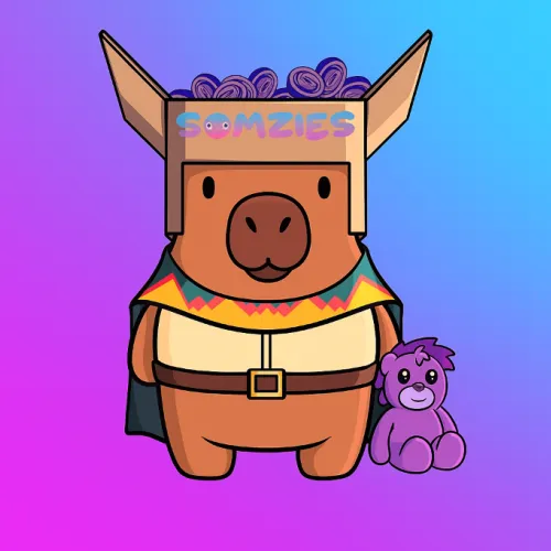 Somzie the Boxed Buccaneer