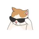 Cool Cat