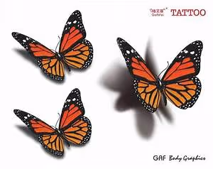 Living with local families