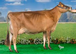 Elevated lodging retreats