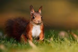 Cave exploration expeditions