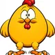 chicken chicken rubber bands