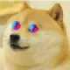 PIXDOGE