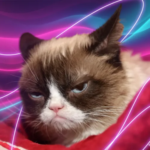 Grumpy Cat Cybernetic