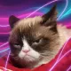 Grumpy Cat Cybernetic