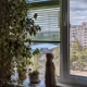 IN WINDOW