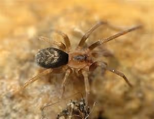 Multicultural immersion journey