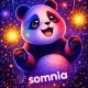 Pandu 2026
