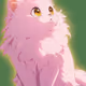 Cat Pink