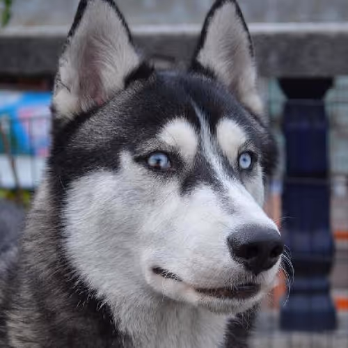 Pedaling scenic routes