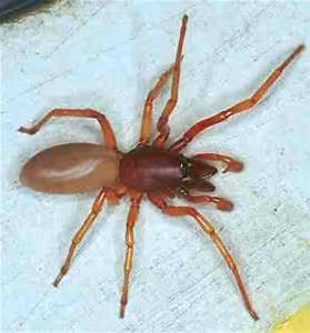 New beginnings embraced