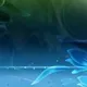 gjhgj