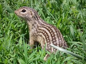 Innovations shaping tomorrow