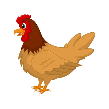 Project w232 chicken