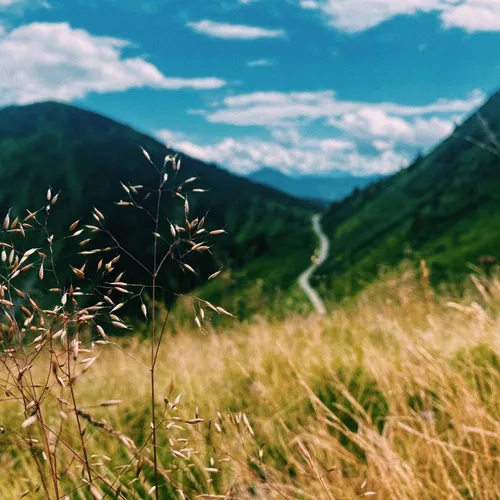nature