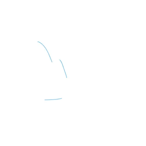 SOMM