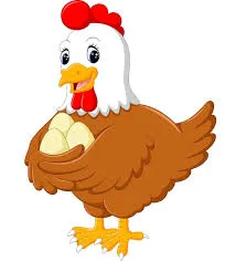  Chicken