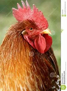 Aspirations pursuit journey