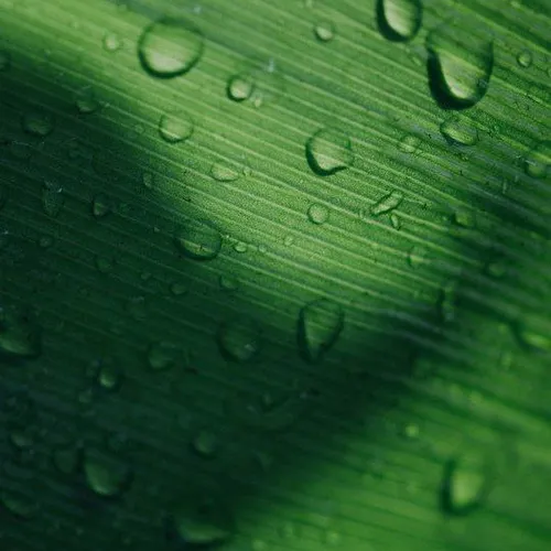 green water