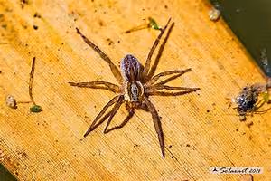 Castle accommodations abroad