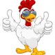 chicken 
