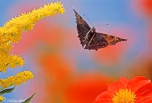 Hidden treasure hunt