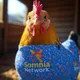 ABC Somnia Chicken