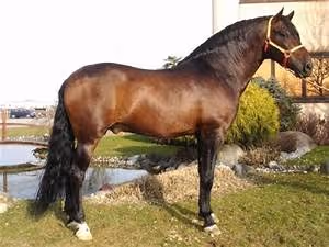 Nautical journeys abroad