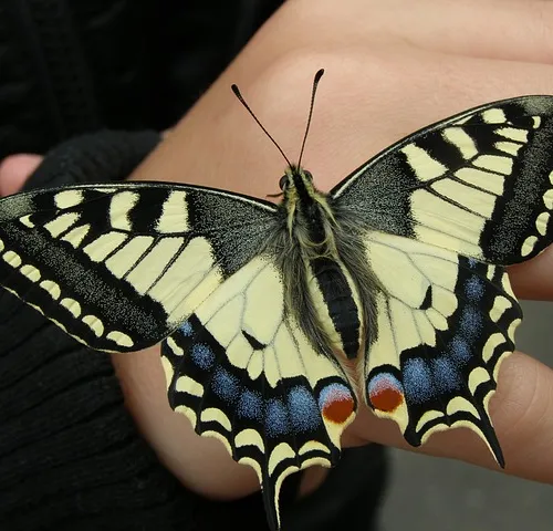 Sustainable solutions quest