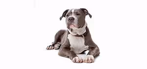 Revolutionizing education methods